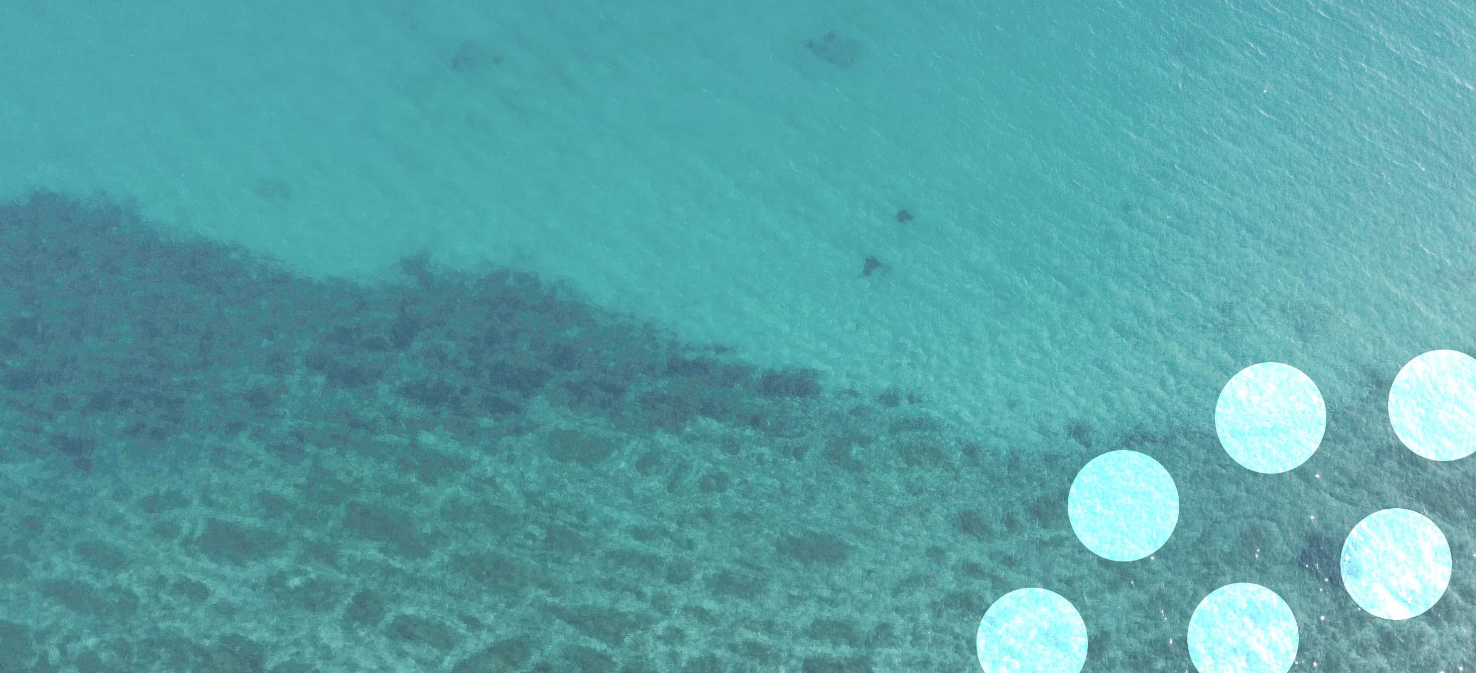 Ocean and blue dots in the lower right corner 