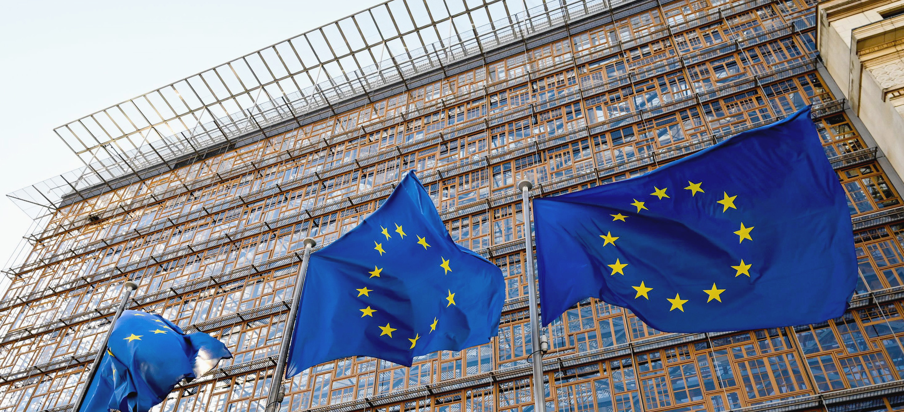 EU flags