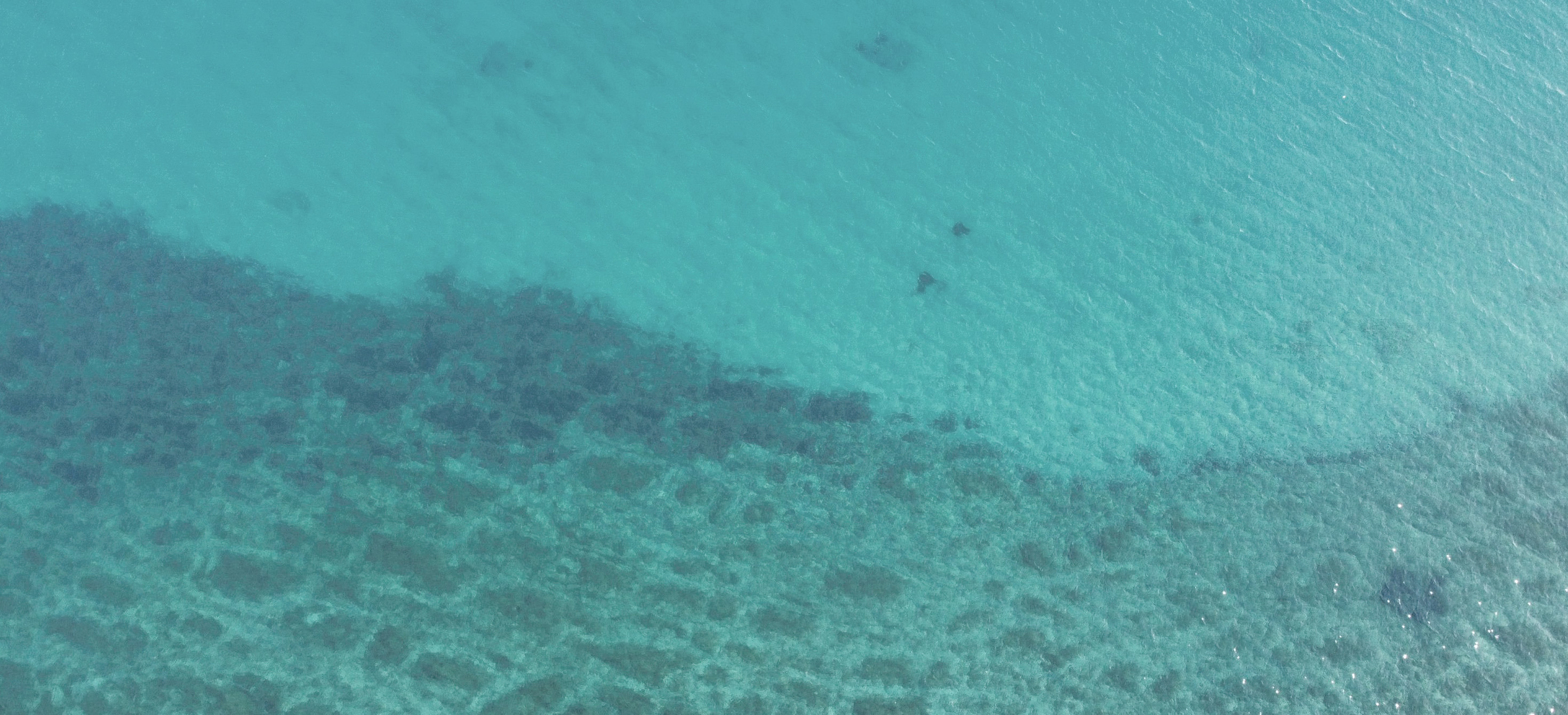 Water oceans.