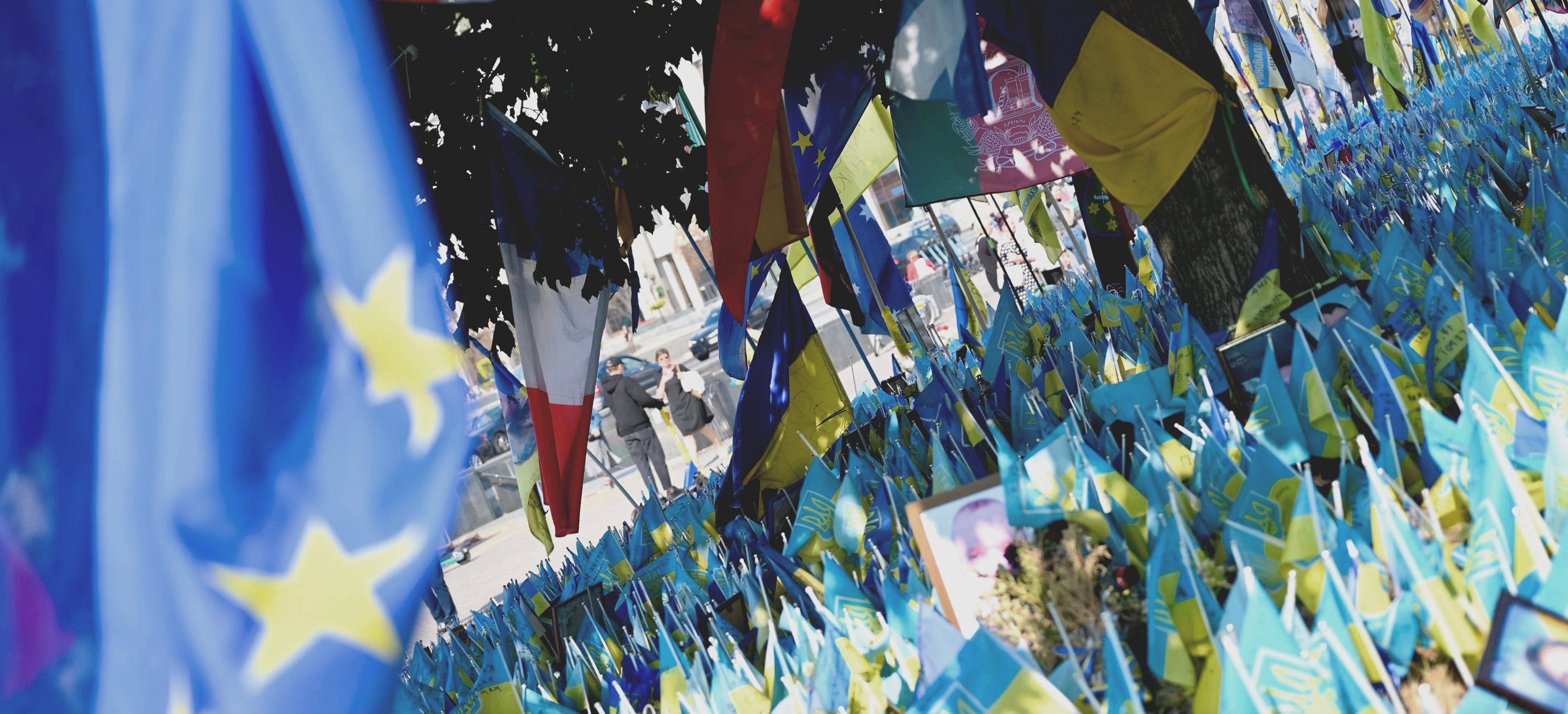 The EU flag and Ukrainian flags. 